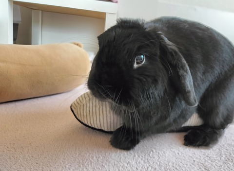 E55141B4-C662-443F-A02D-FE1E04FADE0C