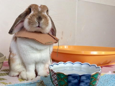 60226099-15F3-48E3-AD10-90E9A374390B