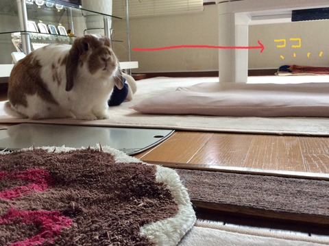 F3003137-A818-4E1C-840E-3623D40151A2