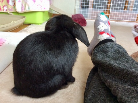 BE68780E-5B72-4E50-B7C7-758EEE463264