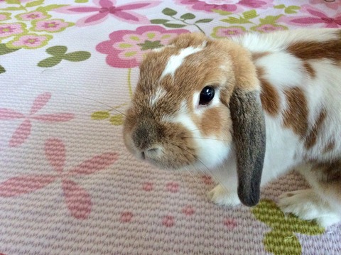 8EA5F3C3-03ED-4B48-BBBF-98CE1B09B8F6