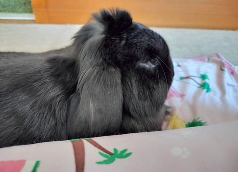 57D565A7-9347-4B4F-9FAD-35C802F97830