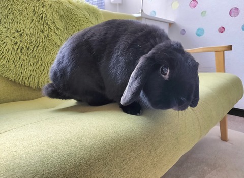 0ECB17A2-D21D-4B09-8CCB-81E60B130F3C