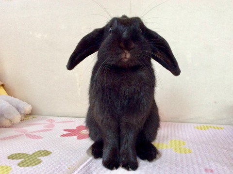 AC1EF7DD-D46E-4C06-BA4A-28F8A0D0CC9F