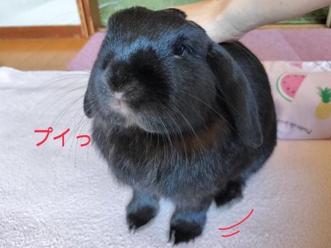 09FBB5EC-1320-4A57-8B3B-20102011AF50