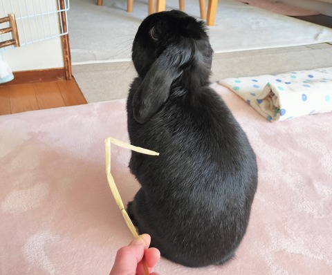 6CE8318F-74D9-4233-A163-61B269F87F88