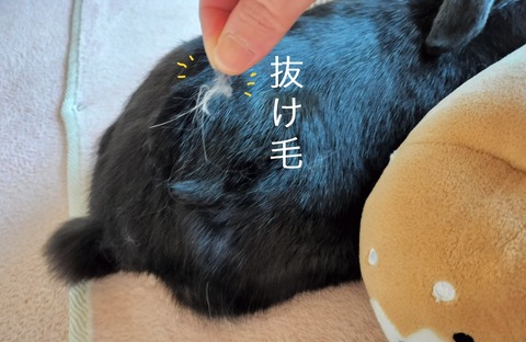 8F91E5D4-9C26-448B-B6BC-1EFB6085EDEE