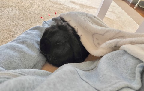 CF302C4A-66AE-44E3-A666-83F074B3D12D