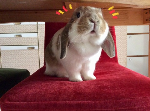 491540CE-A7A8-4F98-B80A-28F0701F10BC