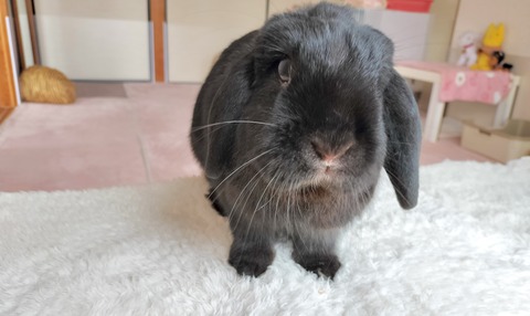 0F61D124-7A37-47F4-B4C7-193CFFF53B3B