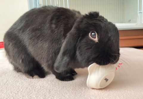 18ECF699-5C23-44B6-BC7F-018ACB6ADF0F