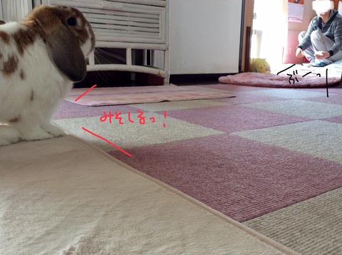 BDDC924D-4C5F-46C4-9534-F34377DBA941