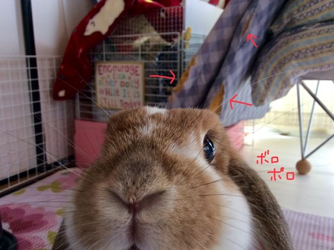 E6C56D80-96B2-4961-AEEB-E59B7F3FBEE2