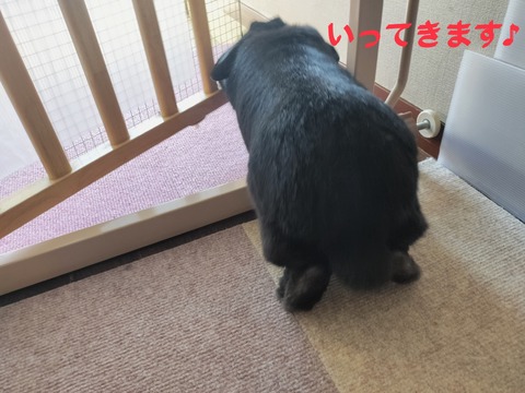 934C3951-35D0-46D8-B12B-F1E243101946