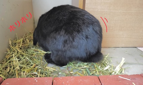 4ADEEA42-CC9F-4D4D-8330-25D1E9BA82B7