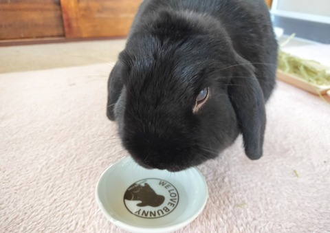 297A1B08-E900-4606-8E6D-BEA8A4CF8FD5