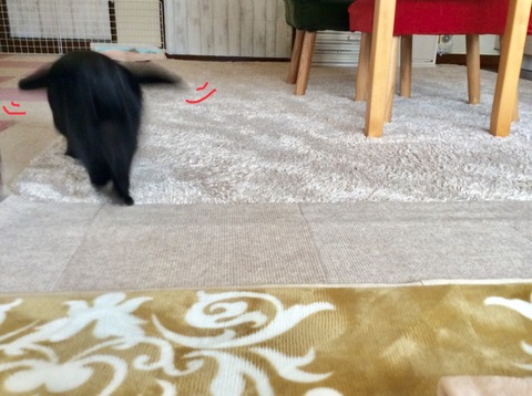 FB54F935-B5CE-4887-B6F6-12C9F76157F2