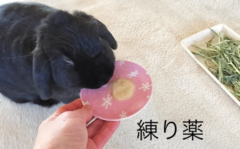 E5619CFA-B72A-4648-878F-09EEB24CC13A