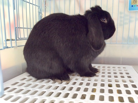 F466DD91-0128-42A3-A6DC-87D176F933B9