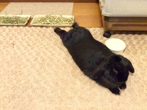 8FBA298A-B33B-400B-8160-0DAE3941F62C