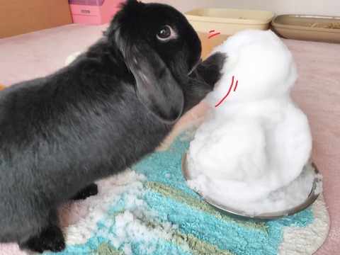 31ED44F1-C5C1-4151-8D69-68D380D33AC6