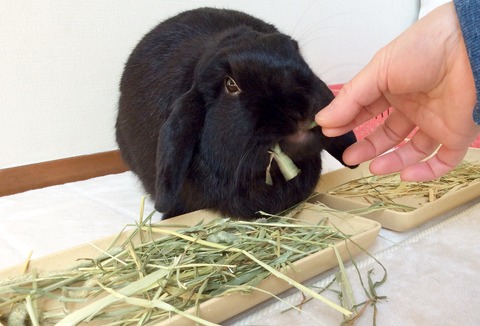 1378F1BE-4B94-47E0-81FF-895F52D0793A