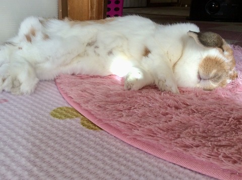 F7E85413-C2E1-40AD-9F90-DFD1C1E5CF88