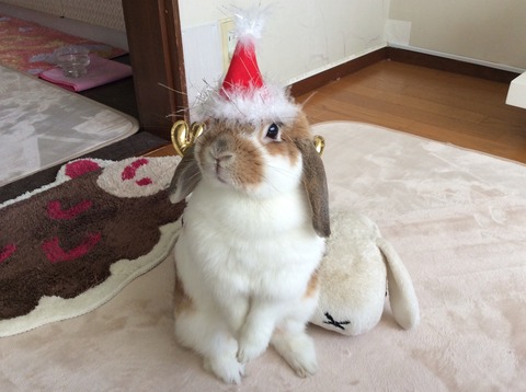 407F6274-2062-4EB3-924C-43F2B9E6B16C