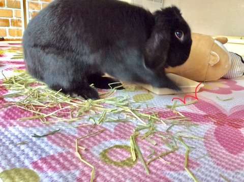 1F7CDF5C-9474-4345-869F-A78C8D302228