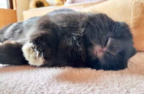 B1578714-E656-429C-94FE-6917D07E4081