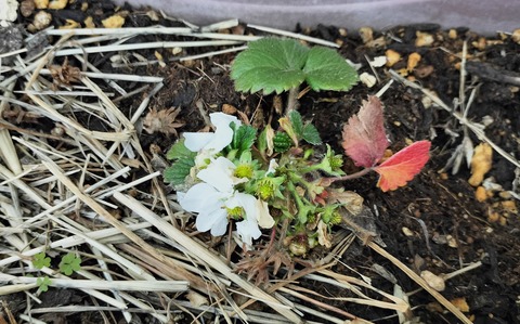 CF69BA7E-D31A-42CA-862A-D905A78E90FC