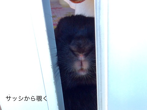 B745B91E-2108-42FF-9A43-FAB5489C049A