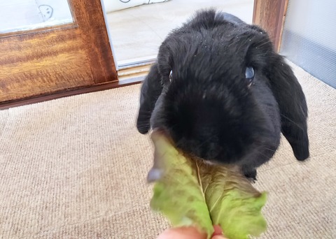 D8E45AFE-7FC3-452D-BE58-19850507161E