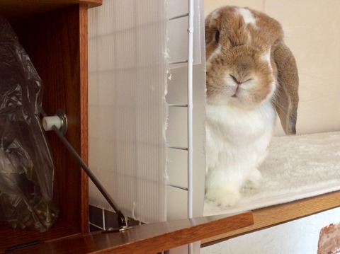 CED9577D-6290-417A-8110-DCA732DB8F55