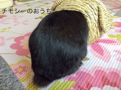 1C7E8CA9-ED0E-4CB9-9389-79805EAC855F