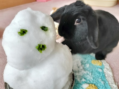 F71CB0C7-74CD-4E33-8382-466F58E27187