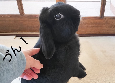 79F3740E-6046-4963-B514-E8BCF5C94188