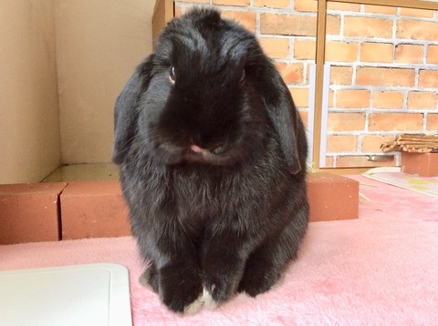 116B7263-EA39-467E-A05D-0426BBD45F48