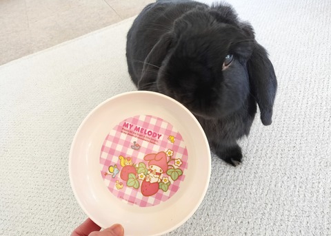 CACA617E-F6E1-4EC5-A4EB-40BD143E45E4