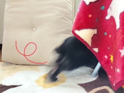 C3BC6F86-7EAA-4470-9A95-32CF997CD3A6