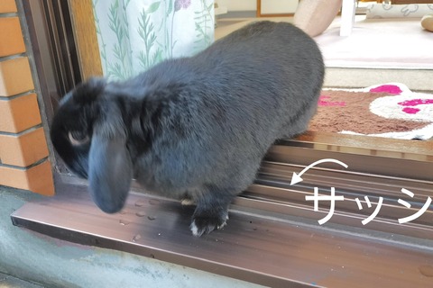 22D3E934-612A-4CF4-9B4F-EA28FED5367F