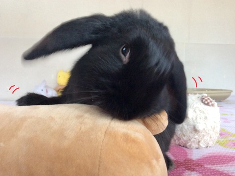 D4CE8035-A5B0-44E3-BC70-C6E18AEC298C