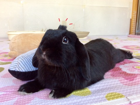 862417FC-6A50-4468-9890-48FFEA11C348