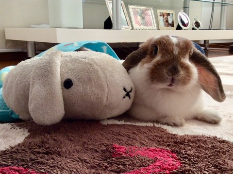 1C3F2B32-323E-4AE1-9DF3-A28DE4FE7FFE