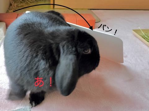 228A6F5B-CE15-4F9C-8DB4-24A496E2991F