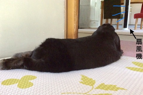 6B5A8A8B-014D-45C9-8E18-562D8F8E27E6