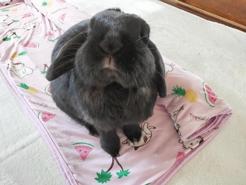 2C0E569C-BBC4-4E5B-875E-5852A1683178