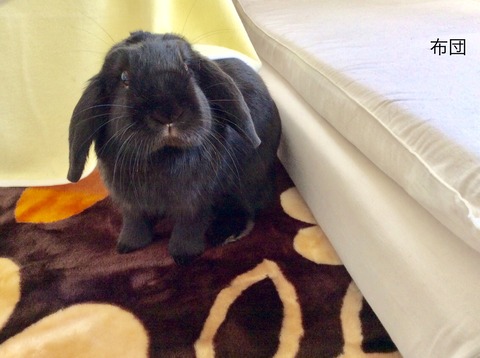 A74D3E2F-43F4-4C12-9833-541D6DC5BD2B