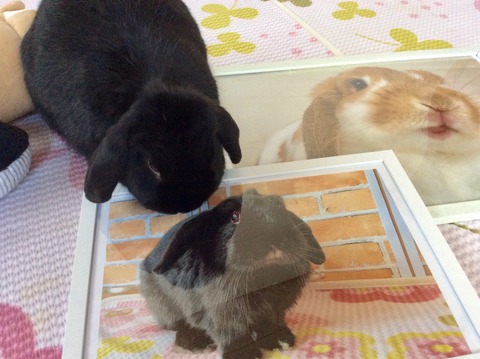 FAA689B7-ADE9-4B49-8FDA-F6666493D906