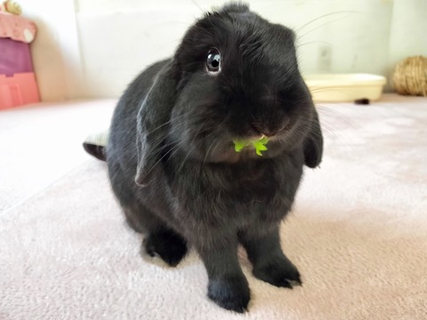 D6935A5C-4212-4BD8-A683-3BA483A78FB0